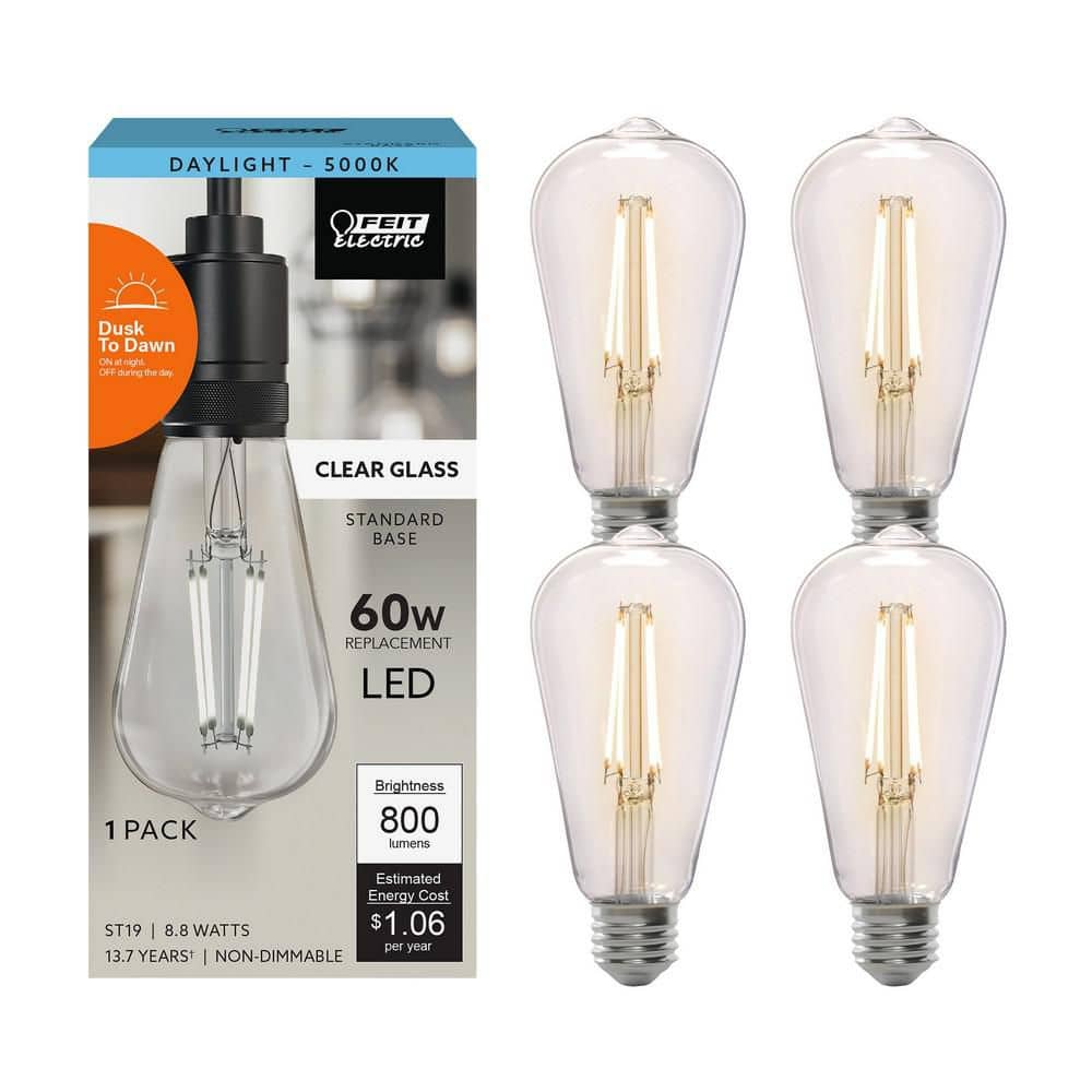 Feit Electric 60-Watt Equivalent ST19 Straight Filament Dusk to