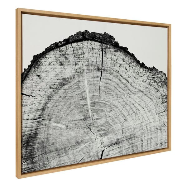 Sylvie "Tree Rings BW" by Emiko and Mark Franzen of F2Images Natural Framed Art Print 42 in. x 32 in.