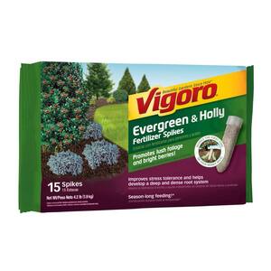 4.2 lb. All Season Evergreen and Holly Fertilizer Spikes (16-4-8) (15-Count)