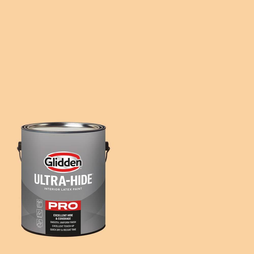1 gal. PPG1203-4 Ginger Peach Semi-Gloss Interior Paint price history on PriceWatchPro