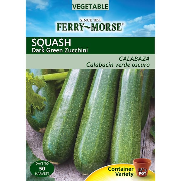 Ferry-Morse Squash Dark Green Zucchini Seed