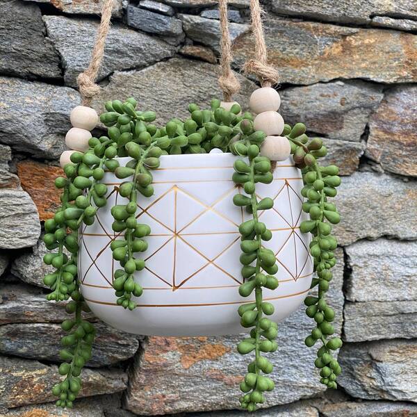 Artificial Plant STRING OF PEARLS in Ceramic Pot W/ Wood Stand