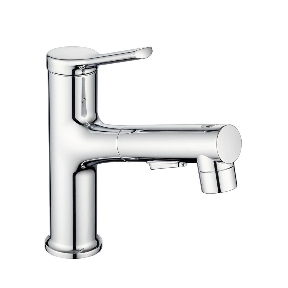 Single Hole Single-Handle Bathroom Faucet with Spot Defense in Polished Chr