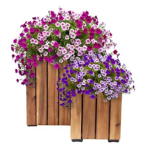 2-Piece Acacia Wood Square Planter Boxes with Plastic Liners - Vertical Plank - Light Brown Stain