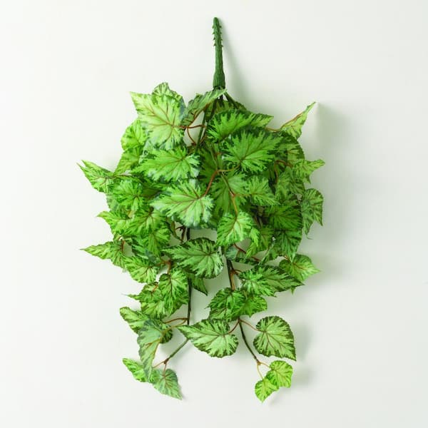 SULLIVANS Artificial 22 in.  Begonia Leaf Bush, Green
