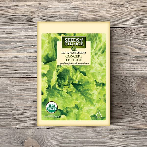 Organic Concept Green Leaf Lettuce Seeds
