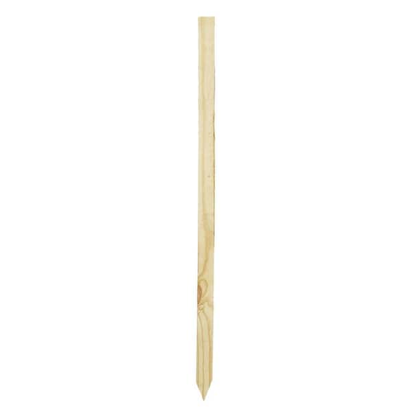 Unbranded 2 in. x 2 in. x 4 ft. Grade Stakes (6-Pack)