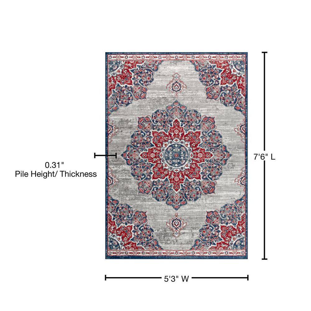 Navy and Red Persian Medallion 5x8 Area Rug