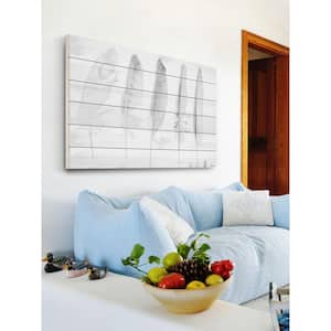 12 in. H x 18 in. W "Five White Feathers" by Parvez Taj Printed White Wood Wall Art
