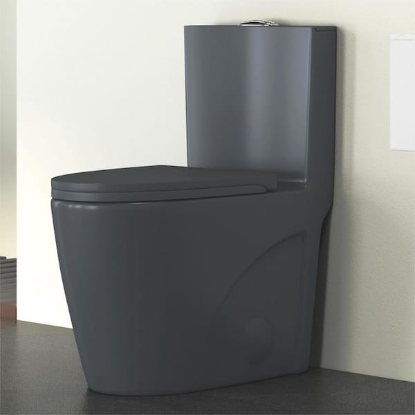 Eridanus Reno 1-Piece 1.1/1.6 GPF Siphon Dual Flush Elongated ADA Chair Height Toilet in Charcoal Gray, Seat Included