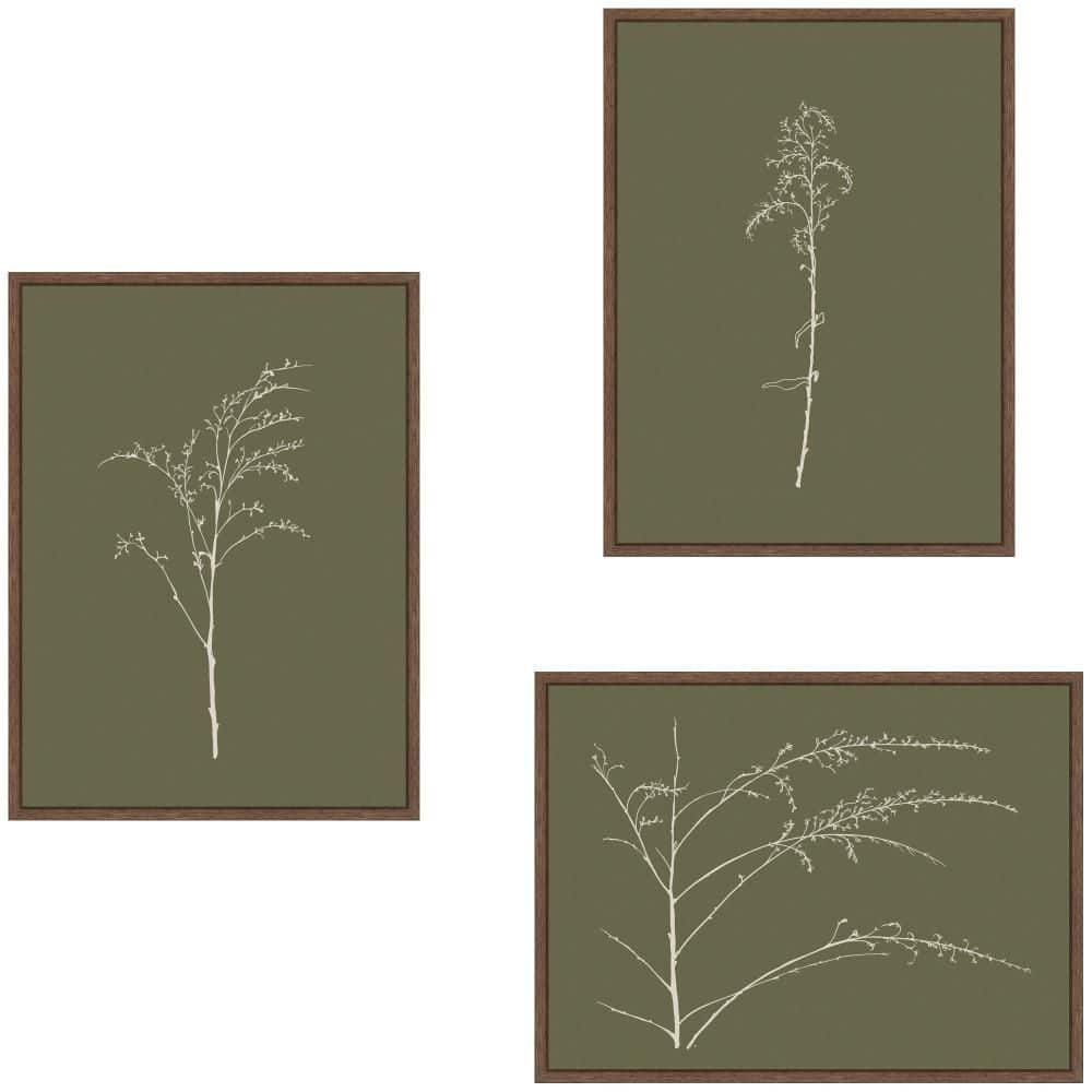 "3 Piece Sylvie ""Delicate Botanical Sketch Green"" by Stephanie Klatt Nature Framed Art Print Set 24 in. x 18 in." price history on PriceWatchPro