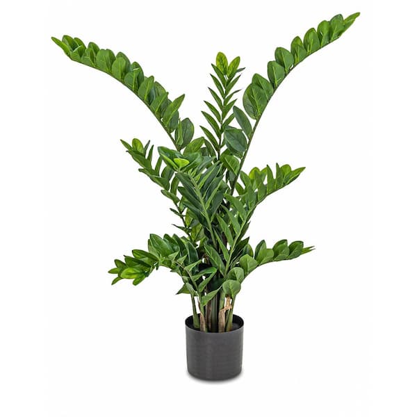 Botanical 3.7 ft. Artificial Zamio in Pot L2230 - The Home Depot