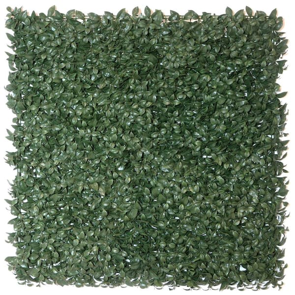 CREATIVE SURFACES Gardenia 40 in. x 40 in. Artificial Hedge Panels (2-Pack)