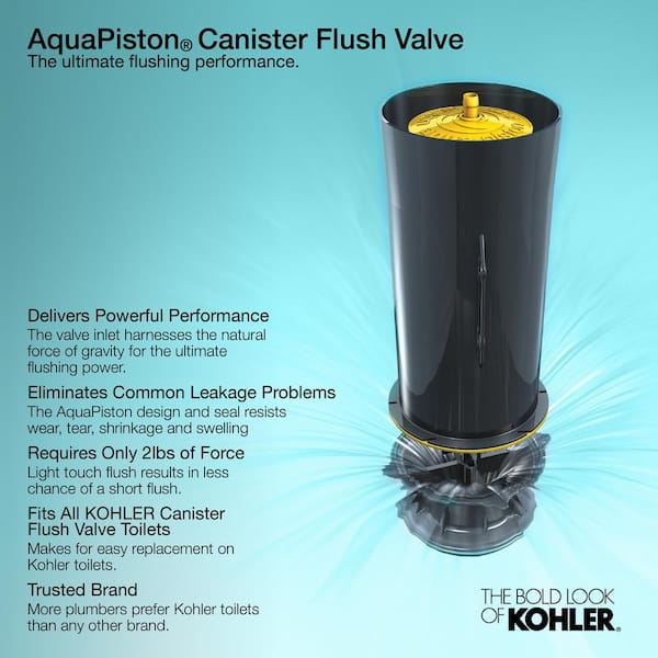 KOHLER KO 4167-96 CMRN 16 GPF TNK BI