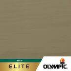 Elite 1 gal. Dark Ash Solid Advanced Exterior Stain and Sealant in One