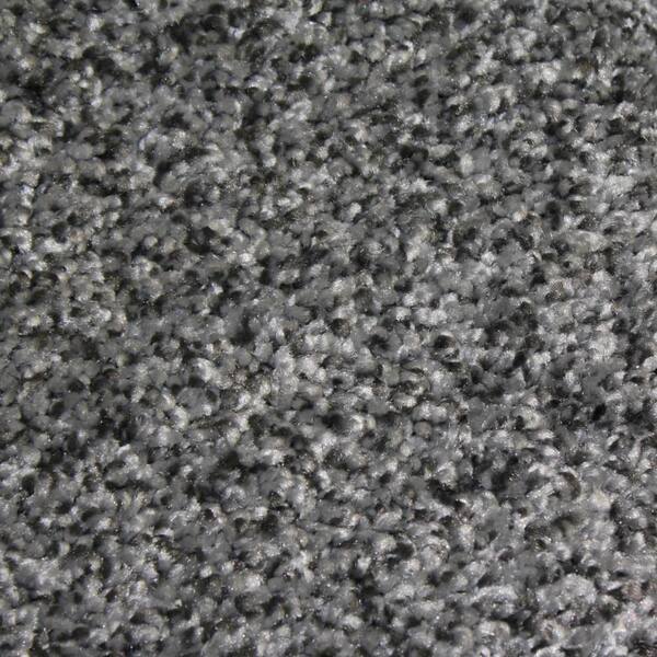 Home Decorators Collection 8 in. x 8 in. Texture Carpet Sample - Shackelford II -Color Excellence