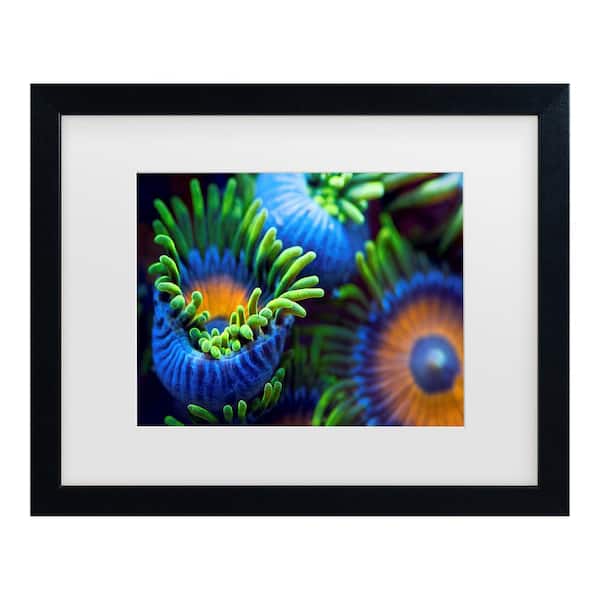 Trademark Fine Art Santiago Pascual Buye The Colors Of The Reef Ii Matted Framed Photography Wall Art 13 in. x 16 in.