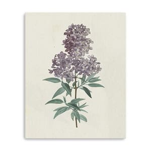 Victoria Purple Blossom Branch by Wild Apple Portfolio 1-Piece Giclee Unframed Nature Art Print 20 in. x 16 in.