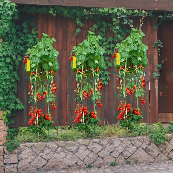 SVOPES 11.8 in.x 11.8 in. x 46.1 in.Tomato Cages, 10-Pack Square Plant Support Towers, PVC-Coated Steel for Climbing Vegetables