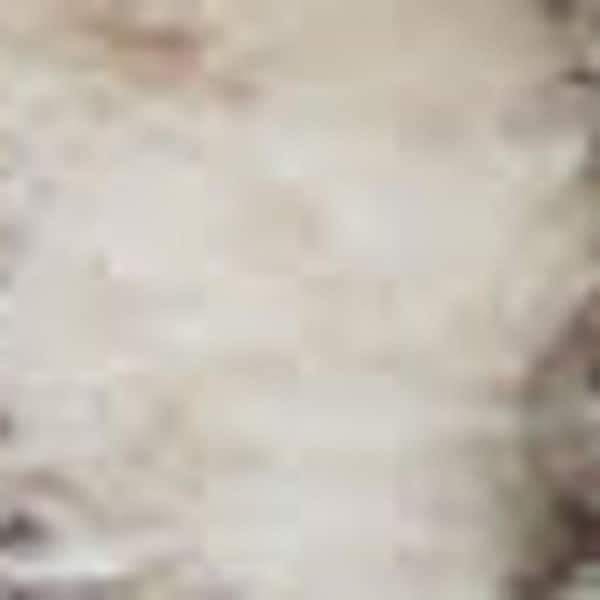 12 ft. x 15 ft.Beige and Gray Medallion Power Loom Distressed Area Rug