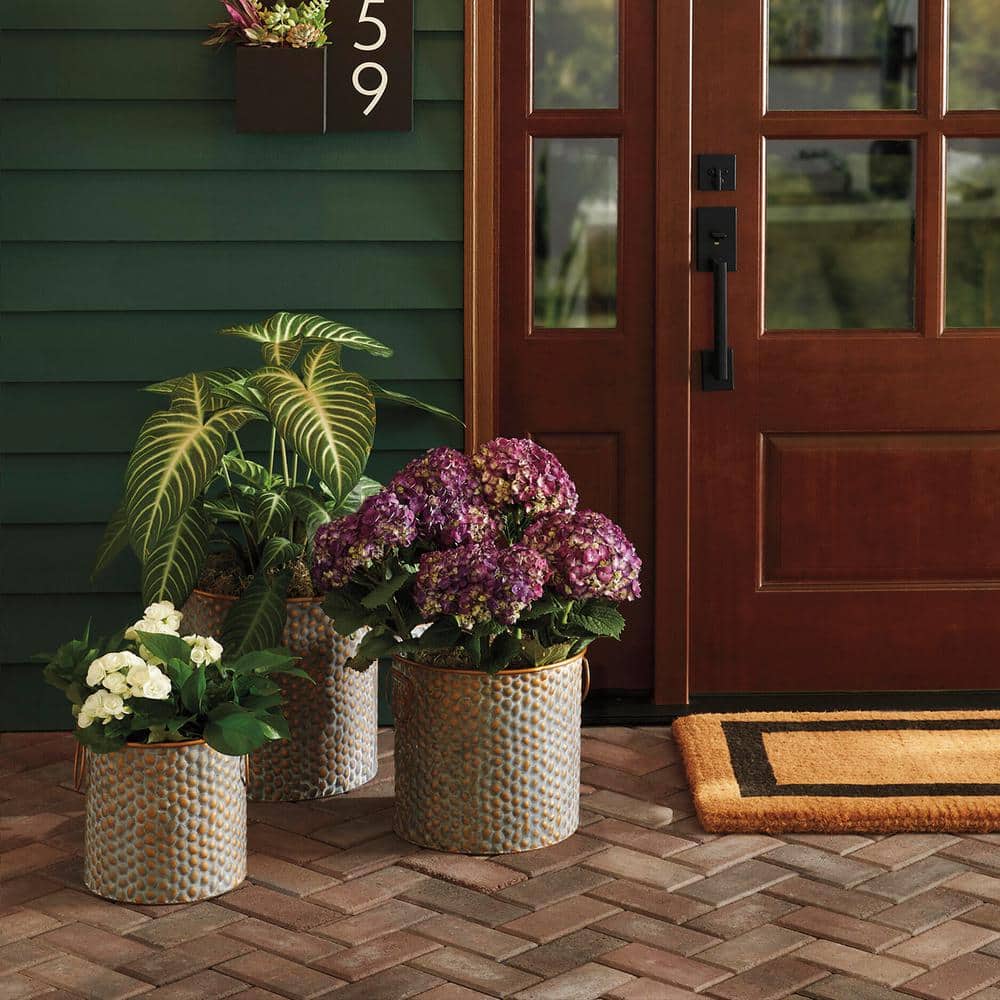 Imagen de producto 3