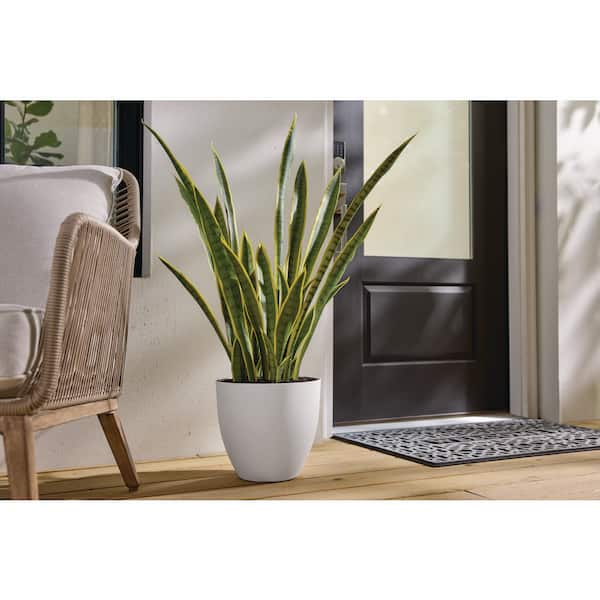 11.5 in. Cersei Modern Matte White Plastic Planter (11.5 in. D x 10.4 in. H)