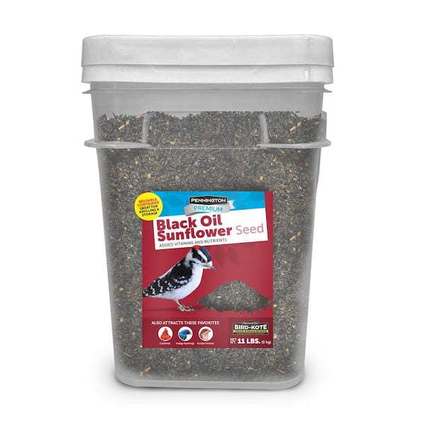 Pennington Premium 11 lb. Black Oil Sunflower Bird Seed Food Bucket