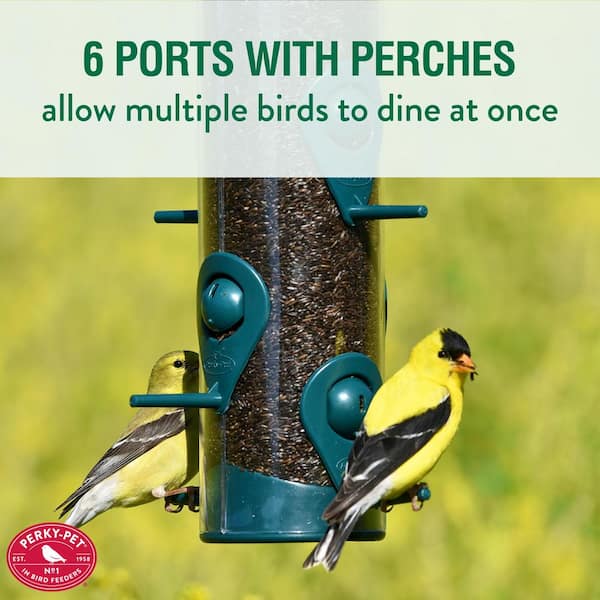 LARGE Plastic Wild Garden Bird Seed Feeder With 4 Multi Port Perch FREE SEED 