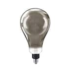 25-Watt Equivalent A50 Dimmable Modern Glass Edison LED Large Light Bulb Cool White (4000K)