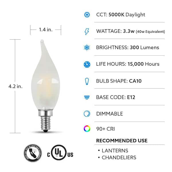 Feit Electric 40-Watt Equivalent CA10 Dimmable Candelabra Clear Glass Vintage Edison LED Light Bulb with Filament Daylight (48-Pack)