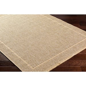 Mirage Tan Border 4 ft. x 6 ft. Indoor/Outdoor Area Rug