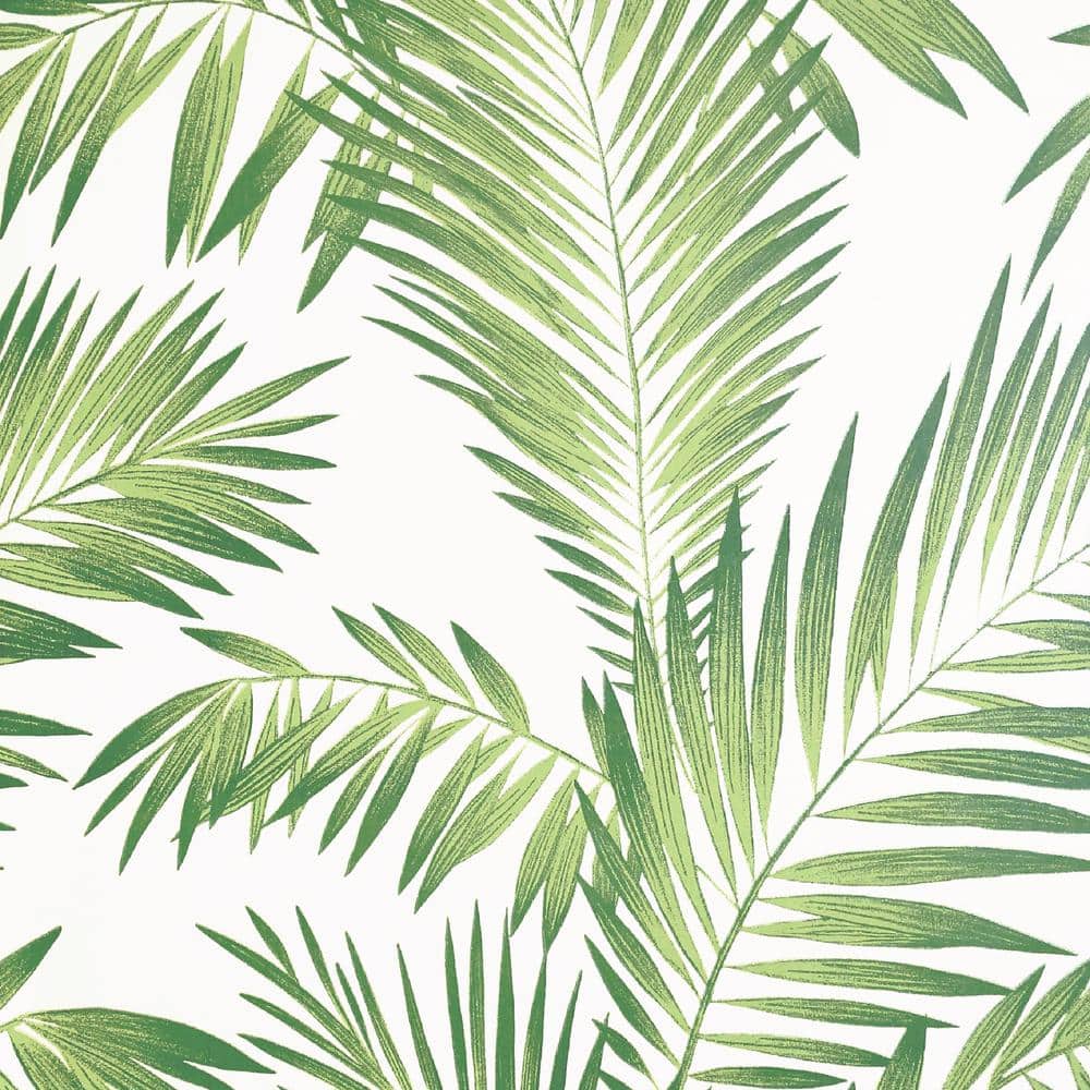 Peel-and-Stick Removable Wallpaper Leaves Green Palm Botanical Tropical Jungle