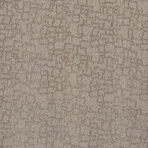 Painted Picture - Gallery-Brown 12 ft. 45 oz. Triexta PET Pattern Installed Carpet