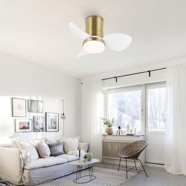 MLiAN 22 in. White and Gold 3 ABS Blades Smart Indoor Ceiling Fan with Remote and Light Kit