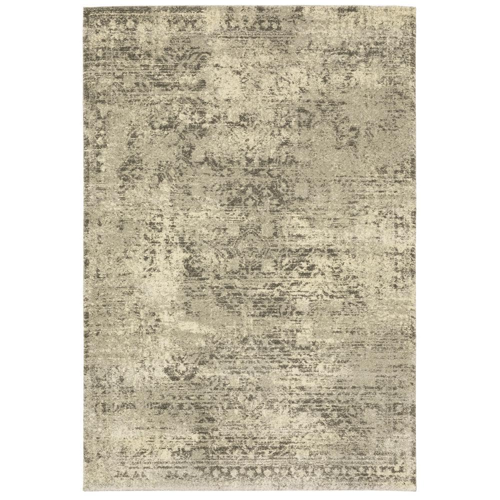 Asbury Beige/Gray 4 ft. x 6 ft. Vintage Distressed Oriental Polypropylene Indoor Area Rug price history on PriceWatchPro