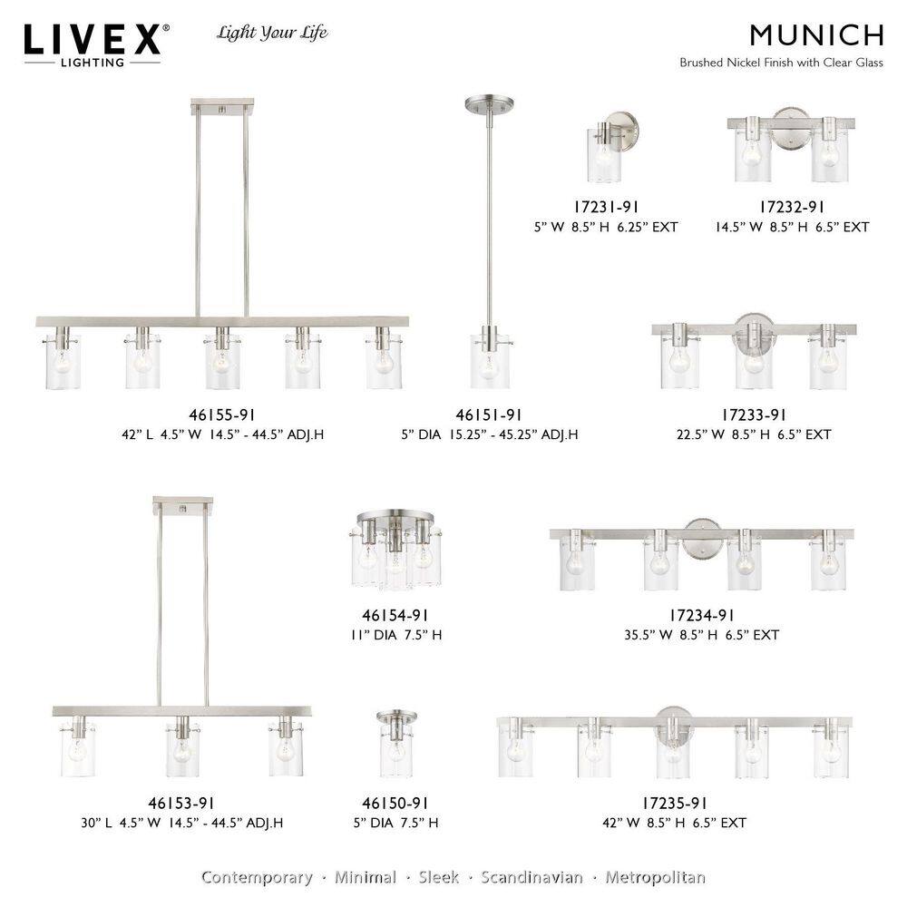 Munich Contemporary Brushed Nickel 1-Light Indoor/Outdoor Flush Mount