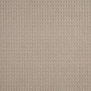 Canter  - Druid - Beige 38 oz. Triexta Pattern Installed Carpet