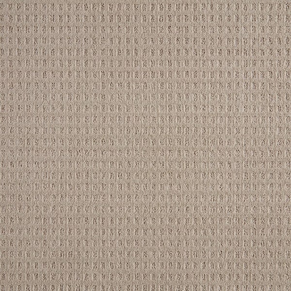 Lifeproof with Petproof Technology Canter  - Druid - Beige 38 oz. Triexta Pattern Installed Carpet