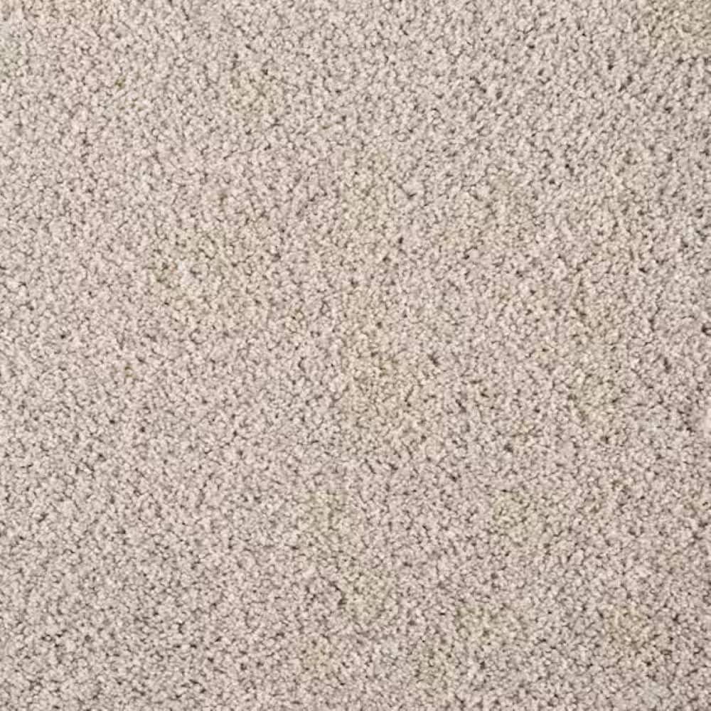 8 in. x 8 in. Texture Carpet Sample-Rockaway III-Color Misty Gray price history on PriceWatchPro