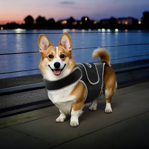 SKYSHALO Dog Back Brace for IVDD, Orthopedic Support Back Brace SKYSHALO Dog Back Brace for IVDD, Orthopedic Support Back Brace