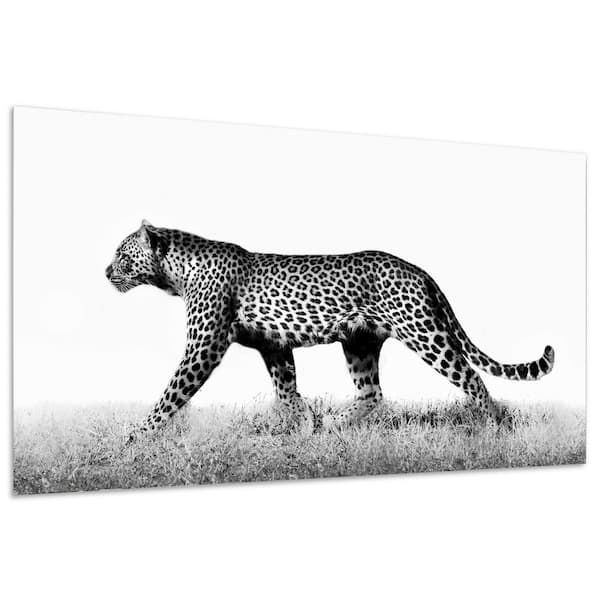 Empire Art Direct Leopard Glass Wall Printed On Frameless Free Floating Tempered Panel Tmp Ead3674 77 2448 The Home Depot - Tempered Glass Wall Art Black And White