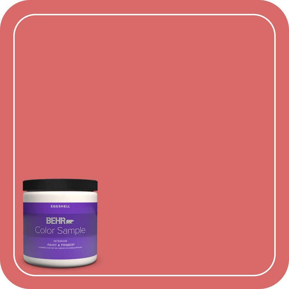 8 oz. #160B-6 Coral Expression Eggshell Enamel Interior Paint & Primer Color Sample price history on PriceWatchPro