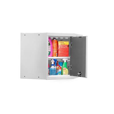 Pro Series Welded Steel 1-Shelf Wall Mounted Garage Cabinet in Charcoal/Tropic Sand (24 in W x 24 in H x 24 in D)