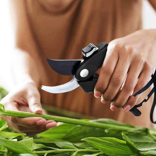 Garden Pruning Shears for Gardening Scissors Heavy Duty Clippers Bypass  Plant Pruners Handheld Tools Ergonomic Grip Handle - Made Grade High Carbon