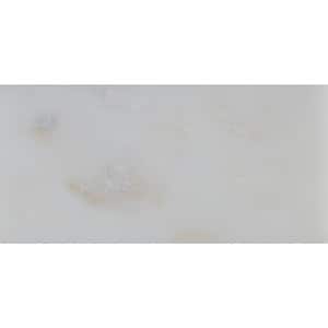 Greecian White 3 in. x 6 in. Marble Floor and Wall Tile Sample (0.12 sq. ft.)