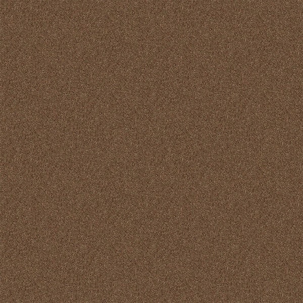 TrafficMaster Watercolors II - Burlap - Brown 38.4 oz. Polyester Texture Installed Carpet