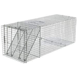X-Large 1-Door Professional Humane Catch-and-Release Live Animal Cage Trap for Beaver, Racoon, Opossum, and Groundhog