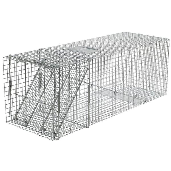 Havahart X-Large 1-Door Professional Humane Catch-and-Release Live Animal Cage Trap for Beaver, Racoon, Opossum, and Groundhog