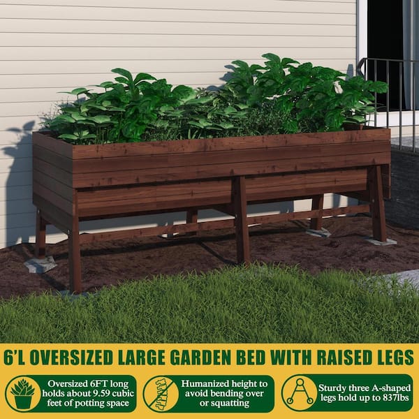 71 in. L x 31 in. W Large Wooden Raised Garden Bed Outdoor with Legs and Liner, Carbonized