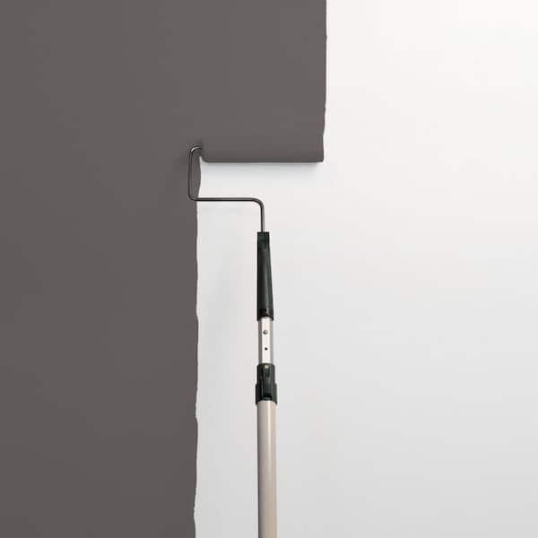 Phantom Hue PPG1004-6 Paint